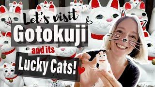 "Gotokuji" the Lucky Cat Temple in Tokyo - Cats, cats, cats and sweet potato...