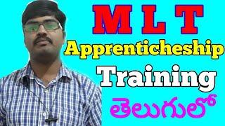 What is Apprenticeship Training M L T(Medical Lab Technician)