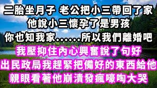 二胎坐月子老公把小三帶回了家，他說小三懷孕了是男孩，你也知我家......所以我們離婚吧，我壓抑住內心興奮說了句好，出民政局我趕緊把備好的東西給他，親眼看著他崩潰發瘋嚎啕大哭#爽文#一口氣看完#小三