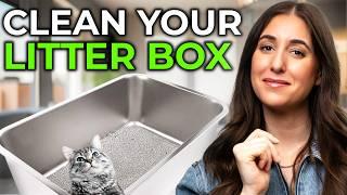 How To Keep Your Cat's Litter Box Clean (Tips & Tools)