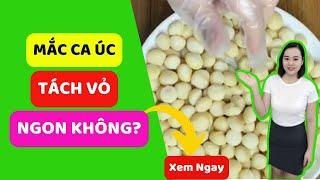 Hạt Mắc Ca Úc Tách Vỏ | Nhân Macca Úc HSaHa