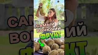 Как люди меняются после дуриана ?