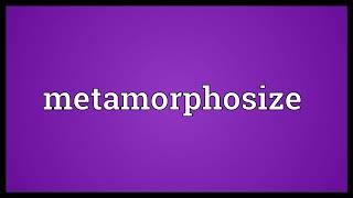 Metamorphosize Meaning