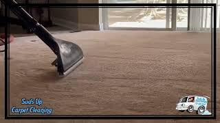 DIRTY carpet, How to clean carpet -you hire a professional