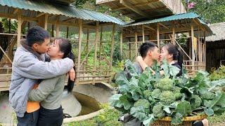 Simple love in the cauliflower garden harvested for sale at the market | Linh's Life