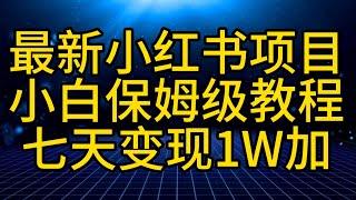 网赚项目 | 兼职网创 | 2024最新实操教程、小红书最新爆款项目，Animal秀，7天变现1W。