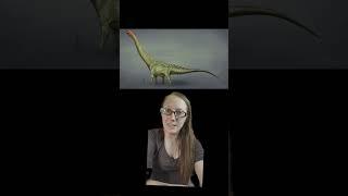 Saurischian vs Ornithischian #scienceeducation #triceratops #sauropod #paleontology #dinosaur