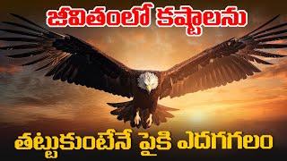 జీవితంలో ఓడిపోయినా ప్రతిసారి ఇది గుర్తుపెట్టుకో..! | Never Give Up Without Fight | Voice Of Telugu