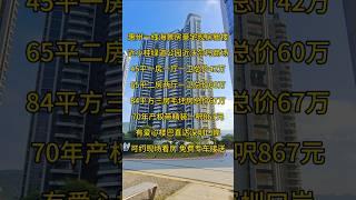 惠州一线海景房豪宅现房新楼近小桂绿道公园近沃尔玛商场，70年产权带精装，一呎867元，有爱心楼巴直达深圳口岸，可约现场看房 免费专车接送#惠州房產 #惠州樓盤 #一手樓航拍 #新一代搵樓平台