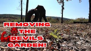 Tackling The WORST Briar Patch on Earth's SURFACE!