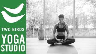 45 Minute Vinyasa Yoga - Whole Body Tone Slow Flow