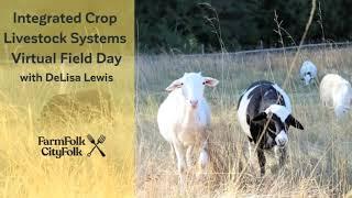 Integrated Crop Livestock Systems Virtual Field Day