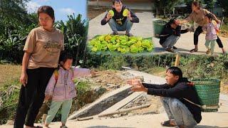 Single father, harvesting star fruit to sell, ex-wife selling watermelon at the market, love wife