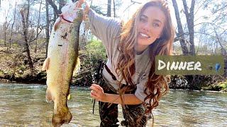 Fishing Cripple Creek - Rainbow Trout! (Catch Clean + Cook)