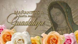  En vivo: Las mañanitas a la Virgen de Guadalupe - Cerrito del Tepeyac en Des Plaines