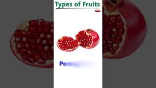 Learn Fruits Name in English | Name of Fruits Basic English Learning