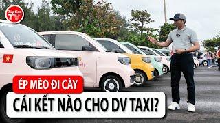 Ép Wuling Mini EV làm taxi & cái kết khó tưởng tượng của ngành dịch vụ vận tải | TIPCAR TV