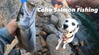 USE SALMON EGGS TO CATCH MORE SALMON- COHO SALMON FISHING