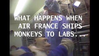 Air France Cruelty in 60 Seconds