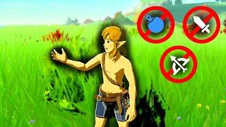 Can I beat Breath of the Wild WITHOUT WEAPONS?