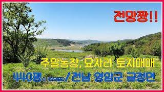 전망짱!! 주말농장,묘자리 토지매매 / 440평(1,455제곱) / 전남 영암군 금정면 /  영암주말농장 / 영암묘자리 / 영암농지원부 / 영암부동산 / 영암토지 / 강산부동산