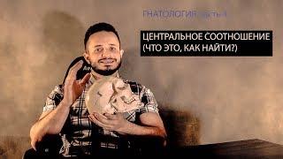 ЦЕНТРАЛЬНОЕ СООТНОШЕНИЕ- САМОЕ ПРОСТОЕ ОБЪЯСНЕНИЕ(гнатология часть 4)