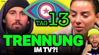 "ELENA Miras & MIKE sind FAKE!" Leyla will Trennung & SCHLÄGT zurück! Promi Big Brother 2024 Tag 13