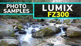 FZ300 Image Quality: Is the Panasonic Lumix FZ300 Worth it in 2019?