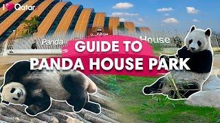 Meet Suhail & Thuraya at the Panda House Park in Qatar!