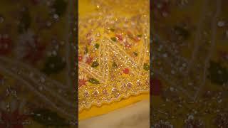 Tissue Banarasi saree