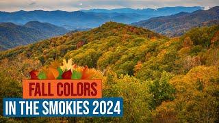 Fall Colors in the Great Smoky Mountains National Park 2024