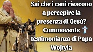 Sai che i cani riescono a percepire la presenza di Gesù? Commovente testimonianza di Papa Wojtyla