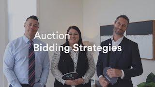 Auction Bidding Strategies