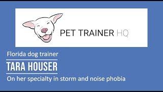 Storm and noise phobia in dogs - Tara Houser Pet Trainer HQ