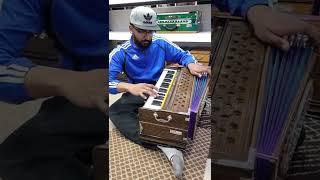 Professional Harmonium