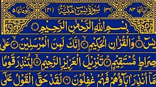 Surah Yaseen Surah Rahman || Best Qur'an Recitation || Surah Yasin Tilawat || Most Qur'an Tilawat