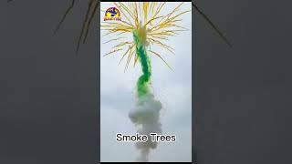 Daytime Smoke Trees Cakes #fireworks #fireworkstesting #fyp#celebration