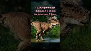 Жойылып кеткен жануарлар даусы 9-бөлім #animals #wow #dinosaur