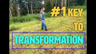 Chop and Drop PERMACULTURE TRANSFORMATION Update