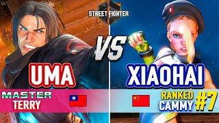 SF6  UMA (Terry) vs XIAOHAI (#7 Ranked Cammy) & MAGO (Terry)  Street Fighter 6 High Level Gameplay