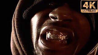 Ol' Dirty Bastard - Brooklyn Zoo [Chinatown] [Explicit] [Remastered In 4K] (Official Music Video)