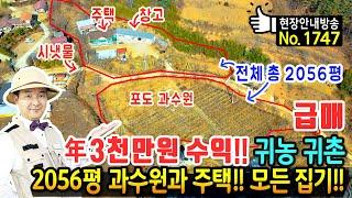 (급매) 년 3천만원 수익의 포도 과수원 전원주택 매매 급매물 2056평 진정한 귀농 귀촌 모든 집기와 전자제품 포함 남향의 햇살 가득 영동부동산 - 발품부동산TV