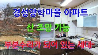 758 경성양학마을 아파트매매 산전망이 나오는 경성양학마을 매매 부분수리가 되어 있는 포항아파트매매 포항부동산 양학부동산 지목부동산