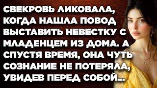 Свекровь ликовала, когда нашла повод выставить невестку с младенцем из дома. А спустя время, она...