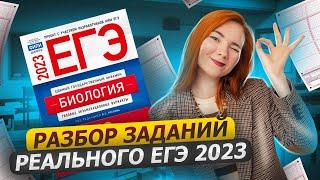 Разбор заданий реального ЕГЭ 2023  | ЕГЭ по биологии 2023 | Умскул