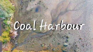 Coal Harbor Vancouver Island Drone Shots | 《DJI》#drone #coalharbour