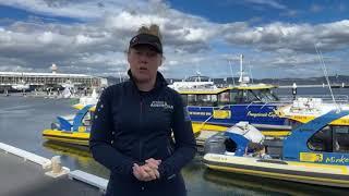 Rolex Sydney Hobart 2024: Live with an update on the deceased and retirements