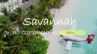 저작권없는음악 팝송 브이로그음악 무료음원 BGM 유튜브 배경음악 브금(Savannah)