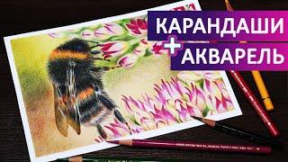 Рисунок в смешанной технике  АКВАРЕЛЬ и ЦВЕТНЫЕ КАРАНДАШИ Советы и Таймлапс