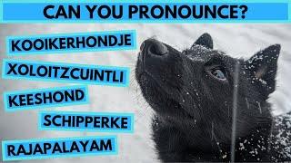 20 Dog Breed Names You Probably Pronounce Wrong - Dog Breed Pronunciation